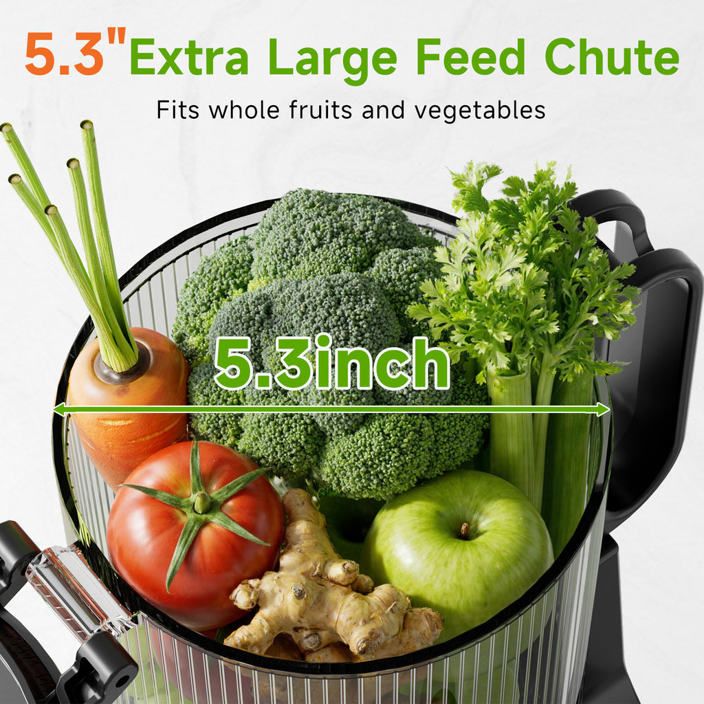 059A Cold Press Juicer, 5.3" Wide Feed Chute Juice Extractor Machine with 250W , Grey