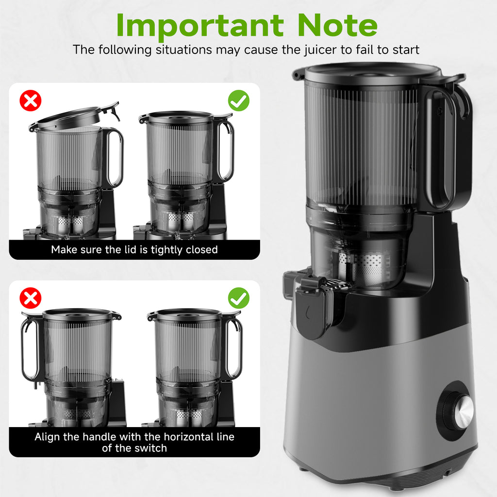 059A Cold Press Juicer, 5.3" Wide Feed Chute Juice Extractor Machine with 250W , Grey